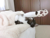 ʊpx